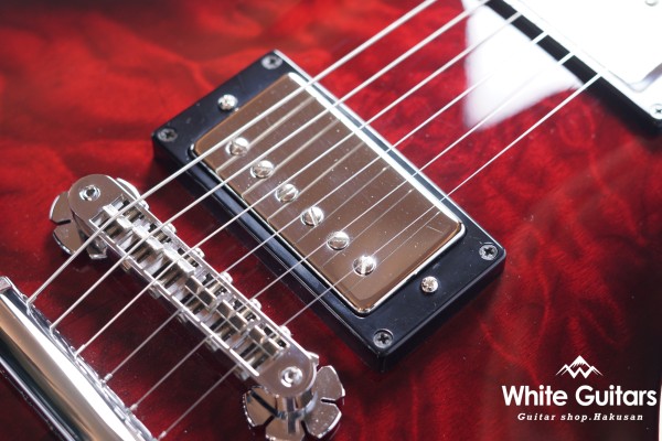 Z22QQ - Trans Red Burst